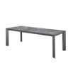 2-2.jpg Axion Table