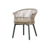 Saxo Dining Chair