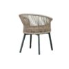 Saxo Dining Chair